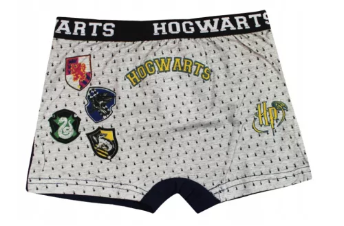Harry Potter Hogwarts House gyerek boxeralsó 2 darab/csomag 9 - 10 év / 134 - 140 cm