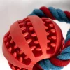 Pókember Hero kötél kutyajáték TPR labdával 30 cm