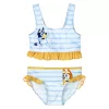 Bluey Streaky gyerek fürdőruha, bikini 2 - 6 év / 92 - 116 cm