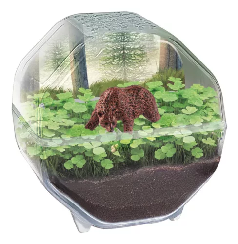 Mini Bear terrárium Clementoni