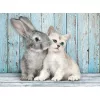 Állatos Cat & Bunny 500 db-os puzzle Compact Clementoni