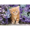 Cicás Ginger 500 db-os Compact puzzle Clementoni