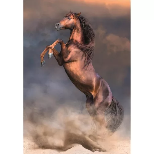 Lovas Wild Stallion 500 db-os Compact puzzle Clementoni