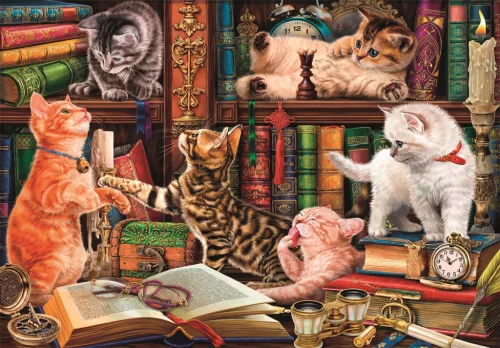 Cicás Curious Whiskers 1000 db-os Compact puzzle Clementoni