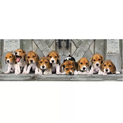 Kutyás Beagles 1000 db-os panoráma puzzle Clementoni