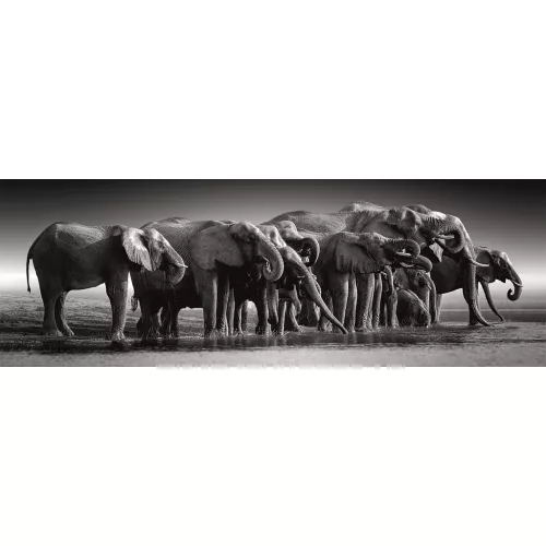 Elefánt Herd of Giants 1000 db-os panoráma Compact puzzle Clementoni