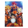 Dragon Ball Kamehame írószer szett 5 db-os