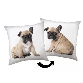 Kutyás Bulldog párna, díszpárna 40x40 cm