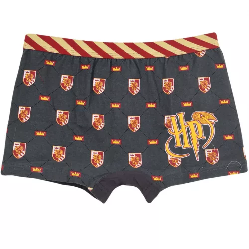 Harry Potter Lion gyerek boxeralsó 2 darab/csomag 6 - 12 év / 116 - 152 cm