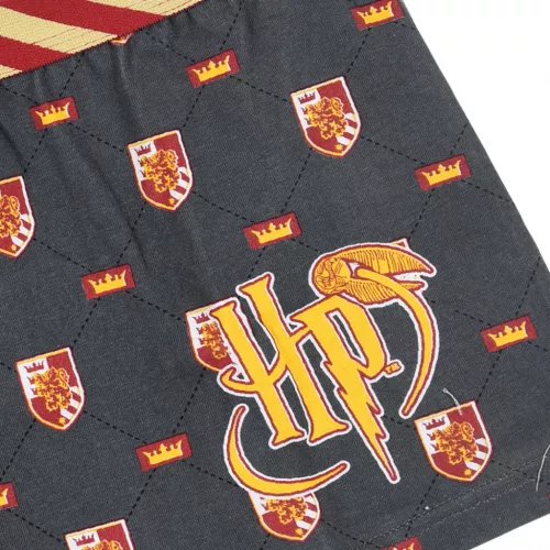 Harry Potter Lion gyerek boxeralsó 2 darab/csomag 6 - 12 év / 116 - 152 cm