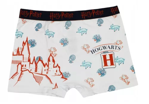 Harry Potter Castle gyerek boxeralsó 2 darab/csomag 6 - 12 év / 116 - 152 cm
