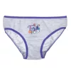 Disney Jégvarázs Rainbow gyerek fehérnemű, bugyi 3 darab/csomag 3 - 8 év / 98 - 128 cm
