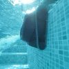 Maytronics Dolphin Liberty 400 akkumulátoros automata vízalatti medence porszívó robot