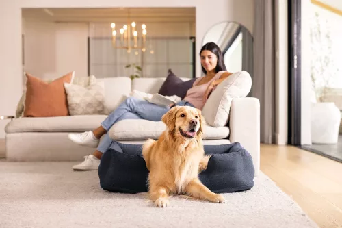 INTEX Small Pet Bed felfújható kisállat fekhely, közepes, 97 x 74 x 23 cm (48702)