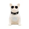 SAL BT DOG hordozható multimédia-hangszóró, 5 W, BT, FM rádió, ~5 óra üzemidő, USB, MicroSD