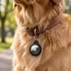 Tech-Protect Rough Apple Airtag / Airtag 2 tok, fekete (2db)
